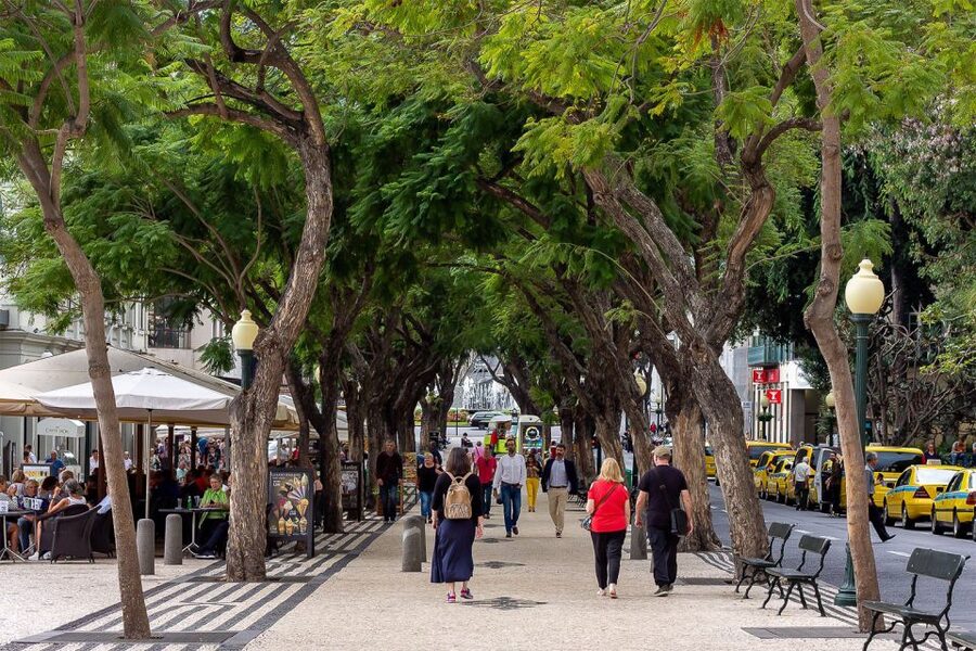 Funchal: Old Town Walking Tour - Why this is a smart first look at Funchal