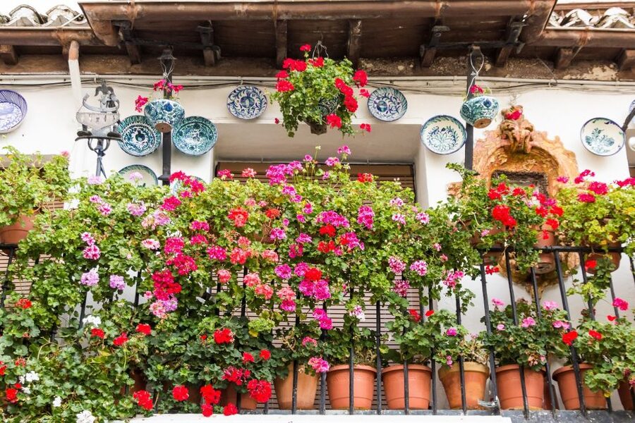 Granada: Albaicín and Sacromonte Walking Tour - Why this route gives Granada a proper introduction