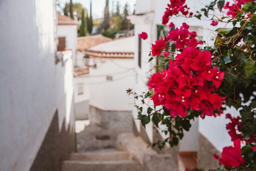 Granada: Albaicín and Sacromonte Walking Tour - Cuesta del Chapiz and the route downhill