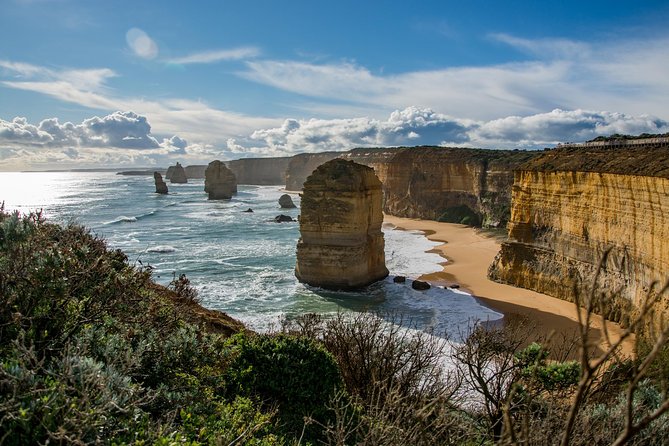 Great Ocean Road 12 Apostles & Rainforest Walk with Morning Tea - Anglesea, Lorne, and the Memorial Arch