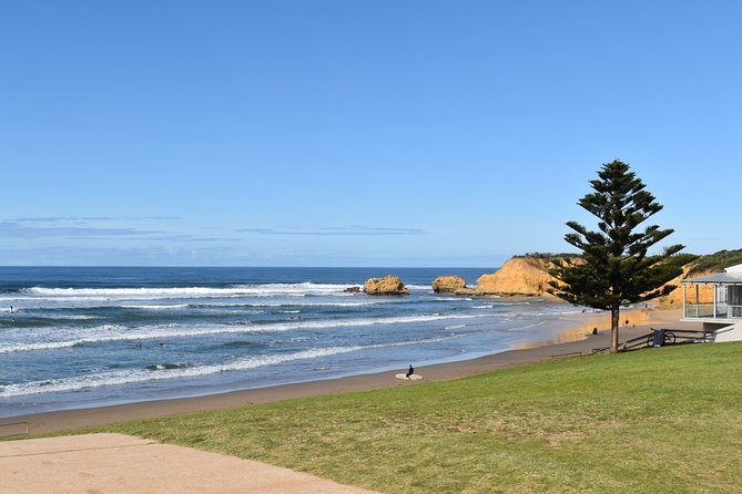 Great Ocean Road Tour Plus Koalas, Forest Walk and Morning Tea - Kennett River, where the wildlife may steal the show