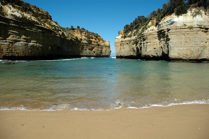 Great Ocean Road Tour Plus Koalas, Forest Walk and Morning Tea - Cape Patton and Apollo Bay: time to slow down