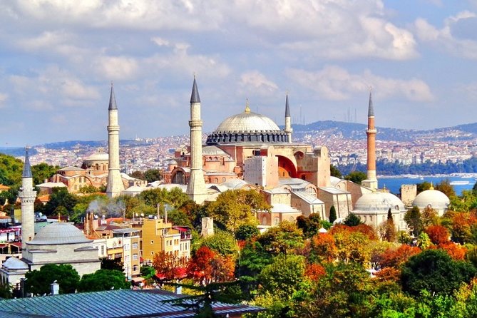 Istanbul Highlights Small-Group Walking Guided Tour - What the full eight hours really feels like