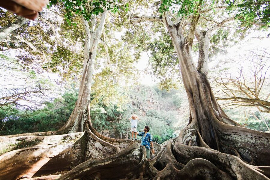 Kauai: Allerton Garden Guided Group Walking Tour - Starting at the National Tropical Botanical Garden