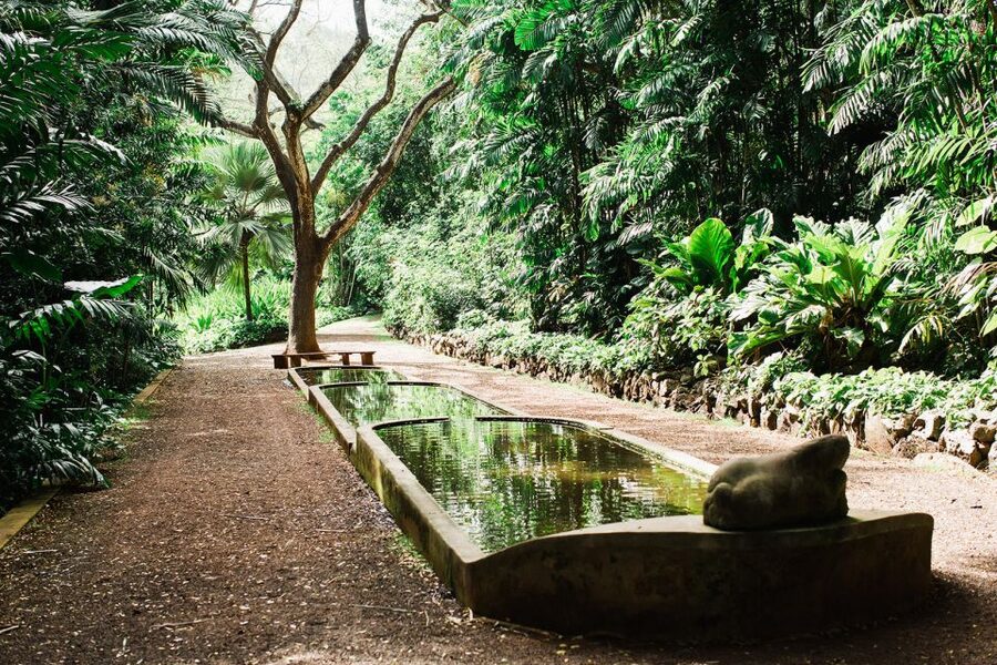 Kauai: Allerton Garden Guided Group Walking Tour - Who will enjoy this Allerton Garden tour?