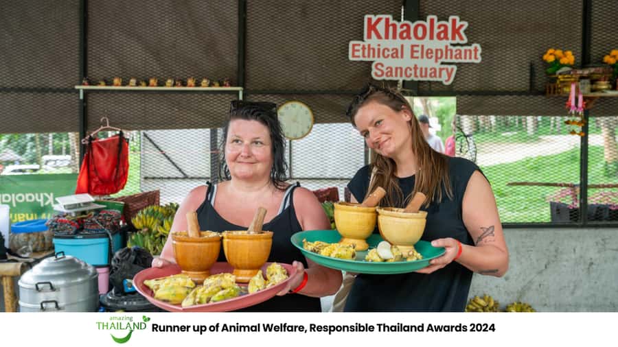 Khao Lak: 2-Hour Elephant Sanctuary Eco-Walk with Guided - Key points to know before you go
