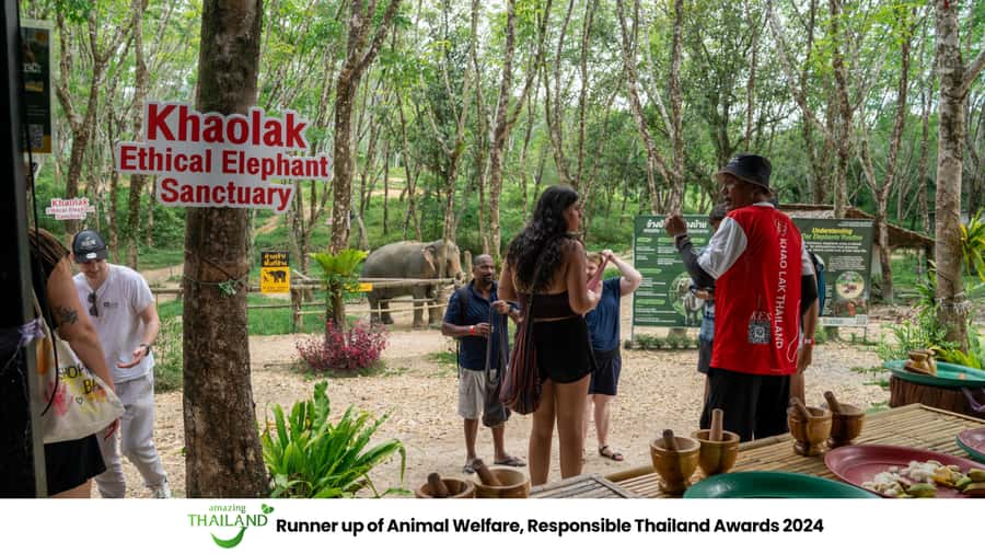 Khao Lak: 2-Hour Elephant Sanctuary Eco-Walk with Guided - Meeting the elephants before the jungle walk
