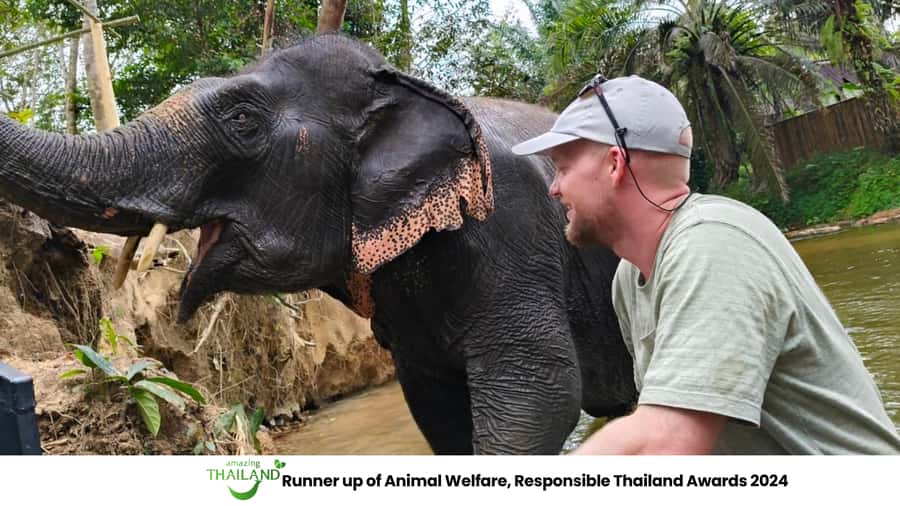 Khao Lak: 2-Hour Elephant Sanctuary Eco-Walk with Guided - Following an elephant through the forest