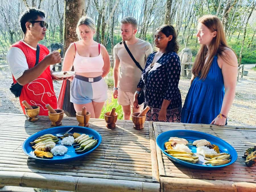 Khao Lak: 2-Hour Elephant Sanctuary Eco-Walk with Guided - Water sessions depend on the elephant