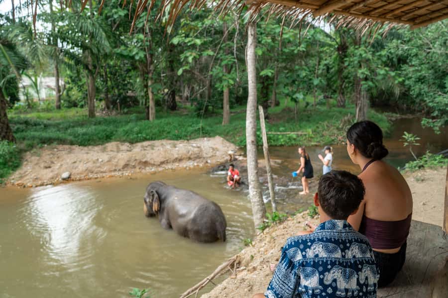 Khao Lak: 2-Hour Elephant Sanctuary Eco-Walk with Guided - What makes the sanctuary feel different