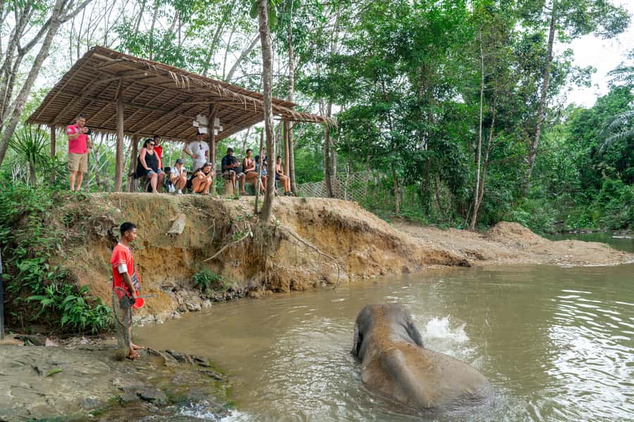 Khao Lak: 2-Hour Elephant Sanctuary Eco-Walk with Guided - Guides who shape the experience