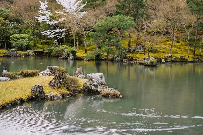 Kyoto Arashiyama Walking Tour: Bamboo, Monkeys, Gardens & Secrets - Nonomiya Shrine and the bamboo approach