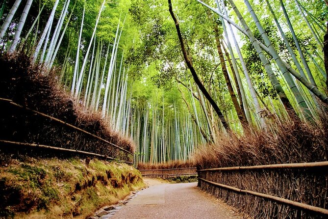 Kyoto Arashiyama Walking Tour: Bamboo, Monkeys, Gardens & Secrets - Okochi Sanso Garden, the quiet reward