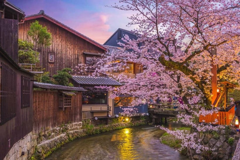 Kyoto Geisha Walking Tour: Gion District & Hidden Gems - The value of the $25 price