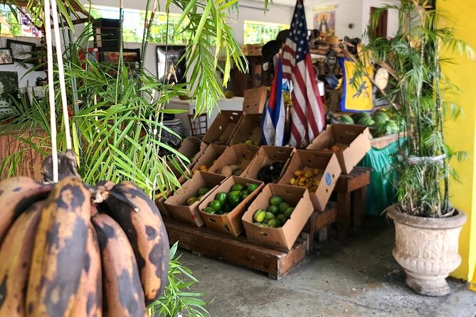 Little Havana: Authentic Food and Culture Walking Tour - Cigars, murals, and the changing art scene