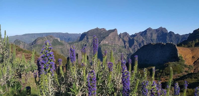 Madeira East Island Tour and Levada Walk - Key points to know before booking