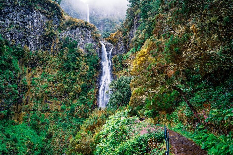 Madeira: Enjoy a Guided Levada Walk in the Rabaçal Valley - Key points at a glance