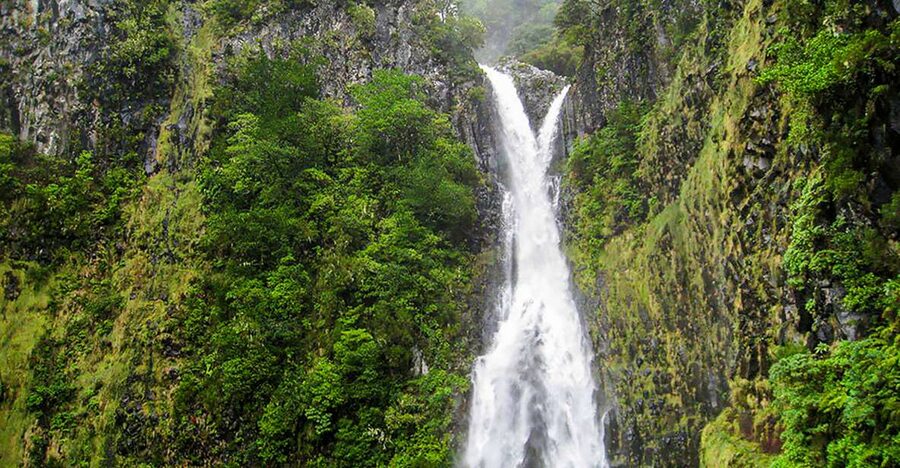 Madeira: Enjoy a Guided Levada Walk in the Rabaçal Valley - Why the Rabaçal Valley walk is worth your day