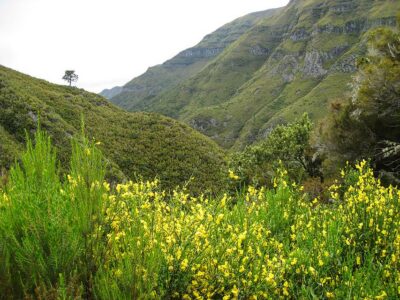 Madeira: Enjoy a Guided Levada Walk in the Rabaçal Valley