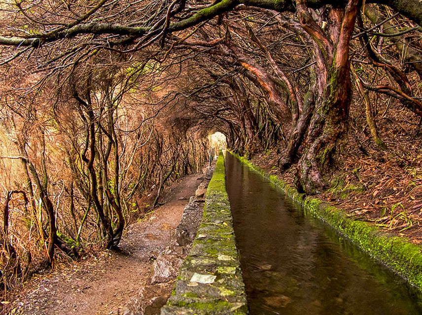 Madeira: Enjoy a Guided Levada Walk in the Rabaçal Valley - The tunnel is part of the adventure