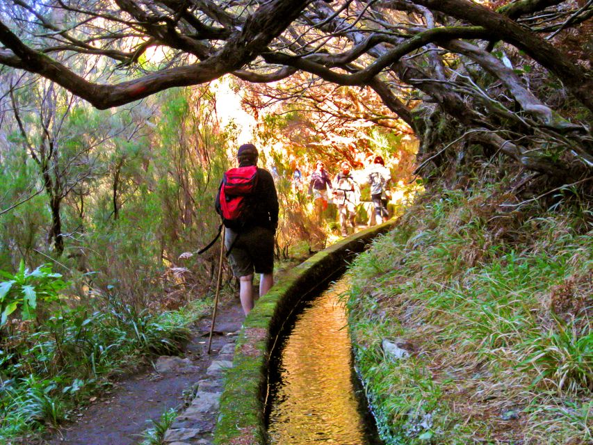 Madeira: Enjoy a Guided Levada Walk in the Rabaçal Valley - What the guides add