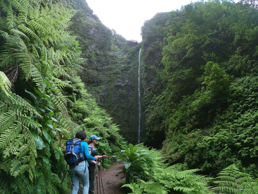 Madeira Island: Caldeirão Verde Levada Walk - Why the Caldeirão Verde walk is worth your day
