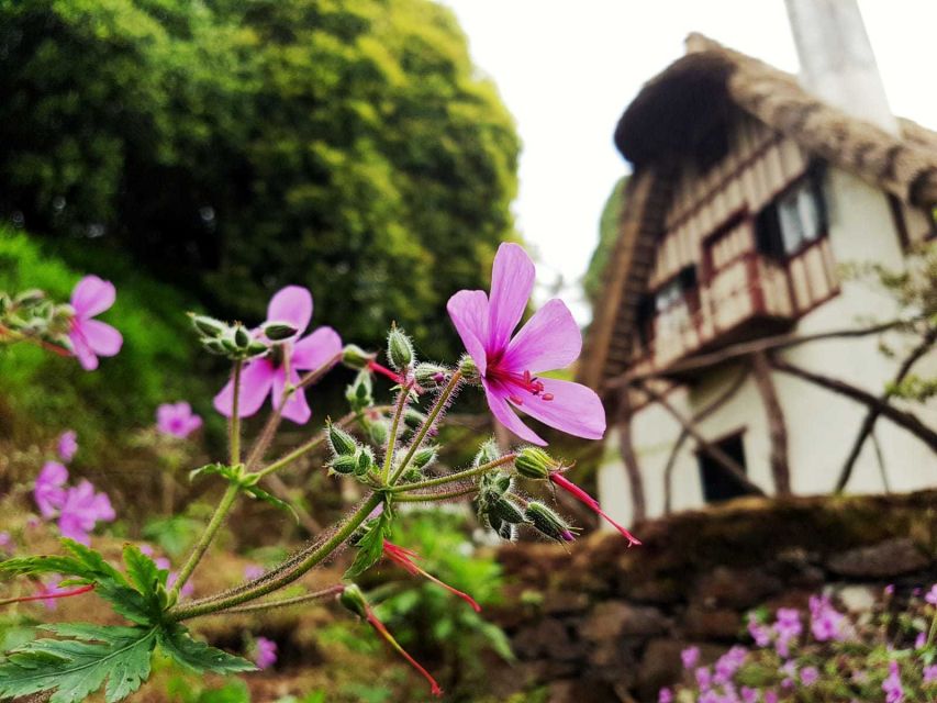 Madeira Island: Caldeirão Verde Levada Walk - Starting beneath the thatched house