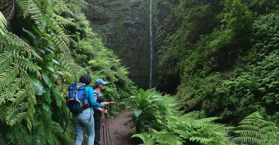Madeira Island: Caldeirão Verde Levada Walk - The return walk and café stop