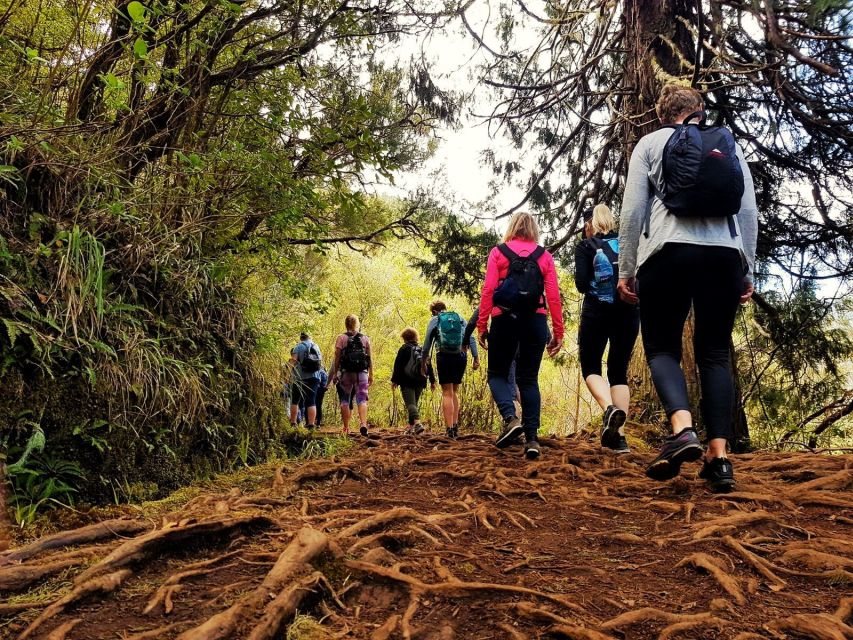 Madeira Island: Caldeirão Verde Levada Walk - What to pack for comfort and safety