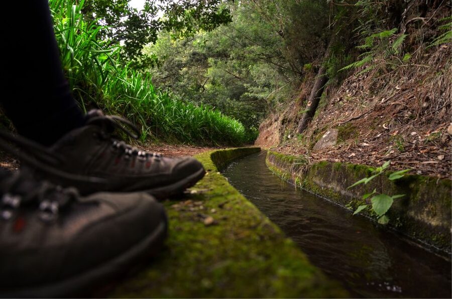Madeira Island: Caldeirão Verde Levada Walk - From your hotel to Queimadas Forest Park