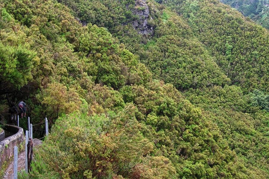 Madeira Walks - Rabaçal and the 25 Fountains - Is $50 a fair price?