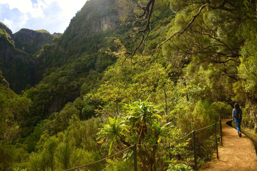 Madeira Walks - Rabaçal and the 25 Fountains - Four hours beside levadas and waterfalls