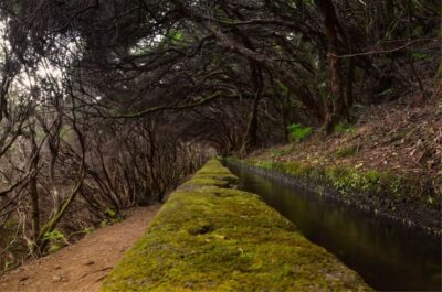 Madeira Walks – Rabaçal and the 25 Fountains