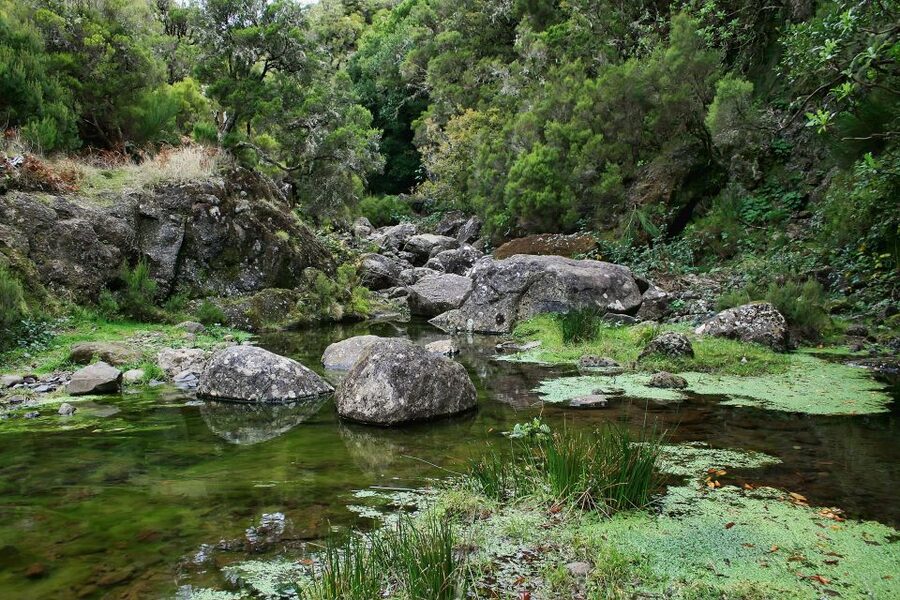 Madeira Walks - Rabaçal and the 25 Fountains - The 25 Fountains and the small clear lake