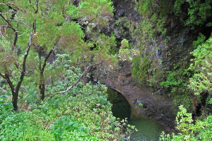 Madeira Walks - Rabaçal and the 25 Fountains - The 800-meter tunnel is a real highlight