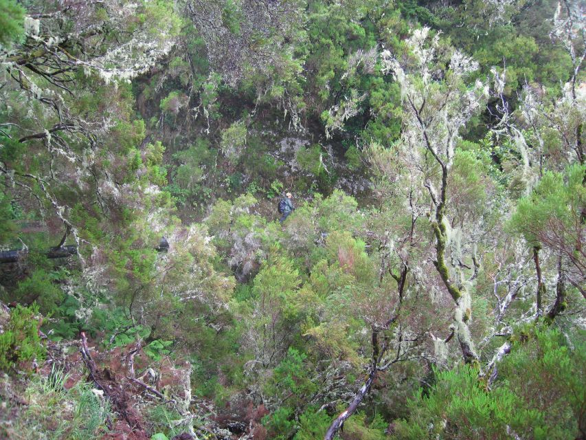 Madeira Walks - Rabaçal and the 25 Fountains - What the guides add to the day