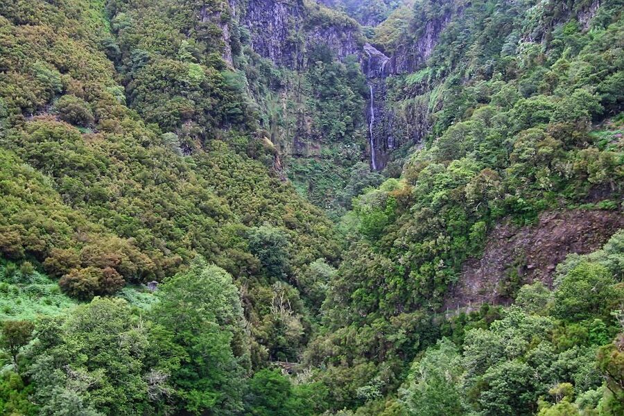 Madeira Walks - Rabaçal and the 25 Fountains - Cafés, lunch, and the return ride