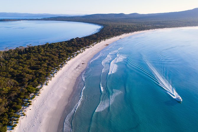 Maria Island Cruise and Guided Walk Day Tour with Lunch and Drinks - A full day around Maria Island, not just a ferry ride