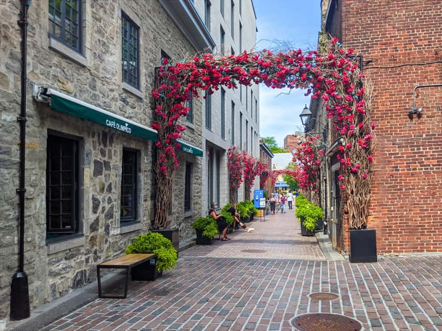 Montréal: The Original Old Montréal Walking Tour - What the Pace Feels Like for Different Ages