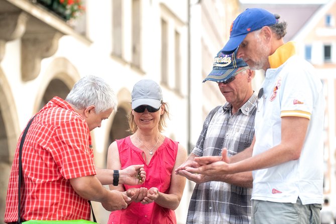 Munich Old Town Walking Tour - Marienplatz and the Rathaus-Glockenspiel
