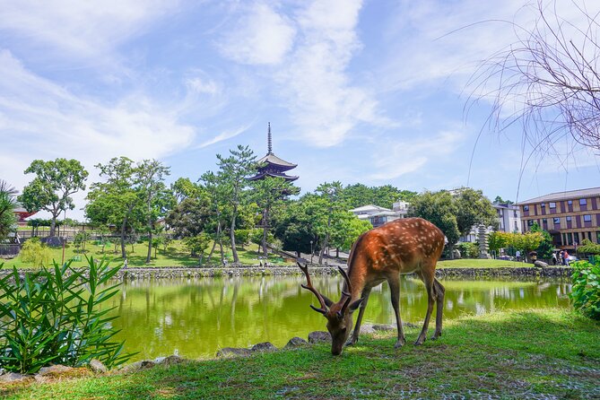 Nara Half Day Trip Walking Tour (Private Option Available) - Kofuku-ji and the five-story pagoda