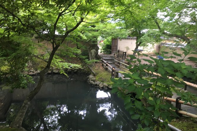 Nara Half Day Trip Walking Tour (Private Option Available) - Feeding deer without losing your snacks