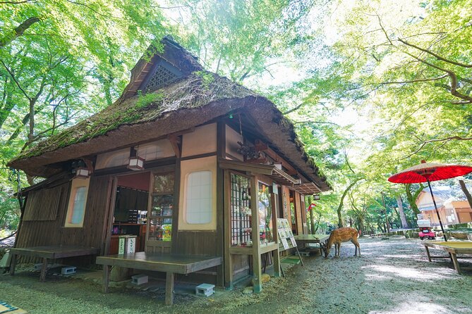 Nara Half Day Trip Walking Tour (Private Option Available) - Naramachi’s merchant houses and slower streets