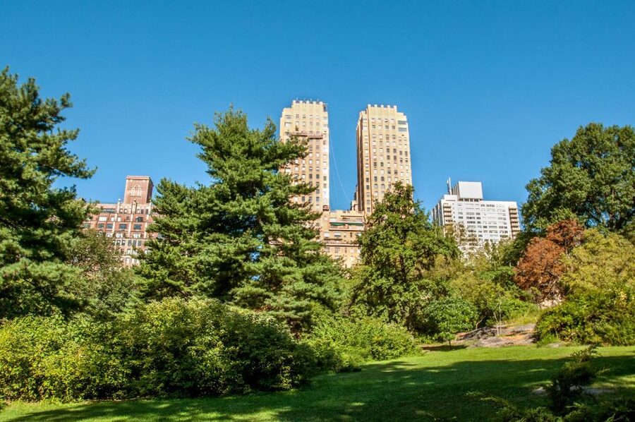 New York City: Private Walking Tour with a Local - The human side of meeting a Lokafyer