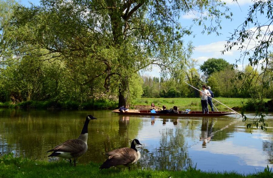 Oxford: Official University and City Walking Tour - Morse, Lewis, Endeavour, and the Oxford Pub Trail