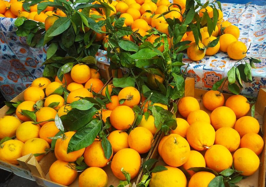 Palermo: Street Food Walking Tour with Local Guide & Tasting - Starting at Teatro Massimo