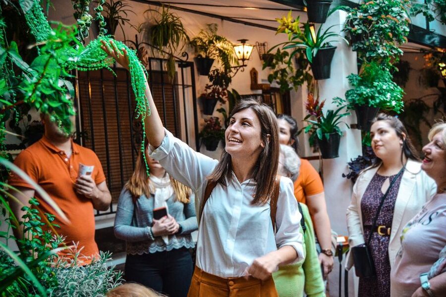 Patios of Cordoba Walking Tour - What you will see inside the courtyards
