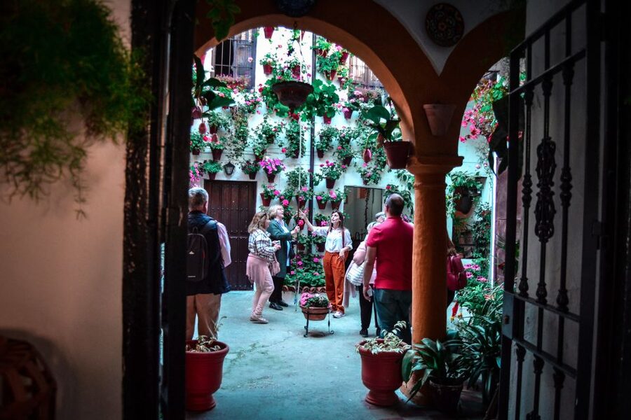 Patios of Cordoba Walking Tour - Walking through San Basilio