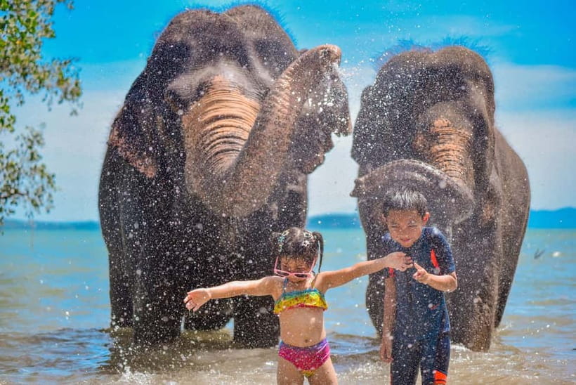 Phuket:Beach walk with elephants, rain & care. 2.5 hours - Key points to know before booking