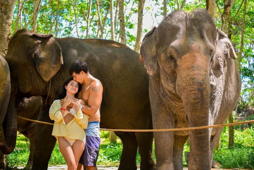 Phuket:Beach walk with elephants, rain & care. 2.5 hours - A coastal elephant camp in Yamu